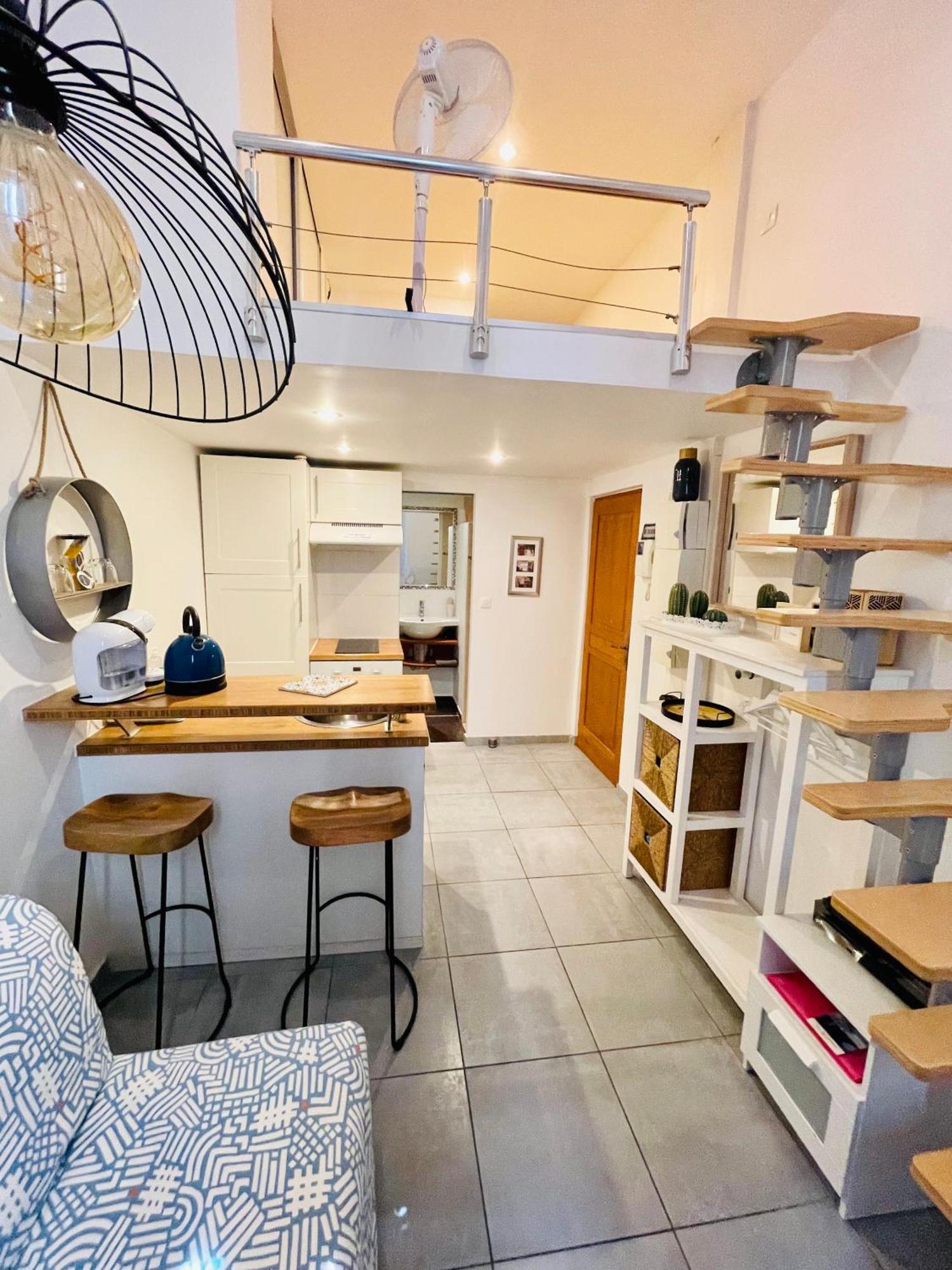 Ravissant Studio En Plein Centre De מרסיי מראה חיצוני תמונה